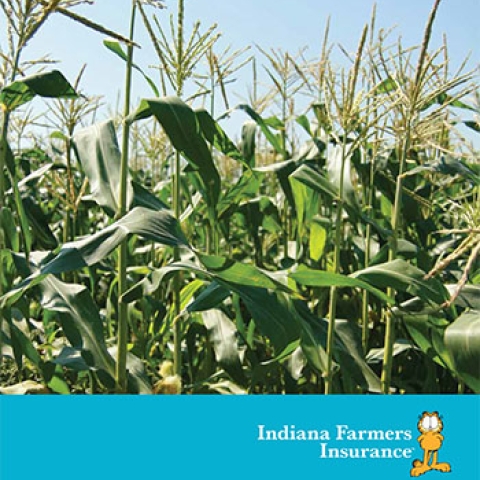 Farm brochure