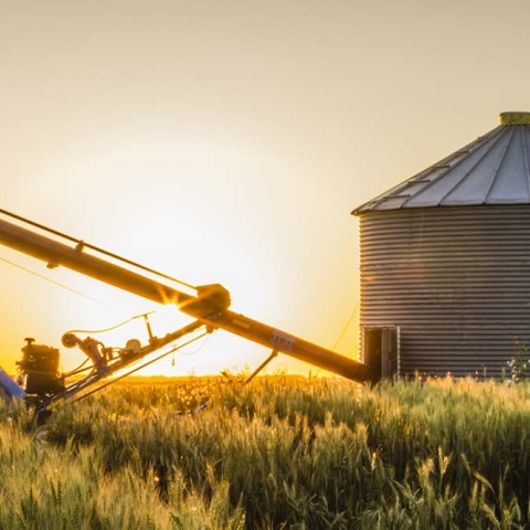 Pair of grain bins and an auger in the middle of a field