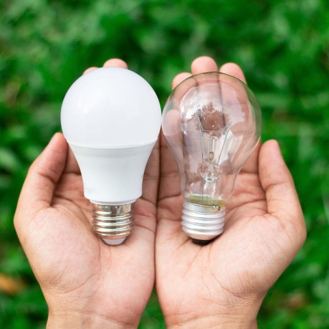 Hands holding lightbulbs